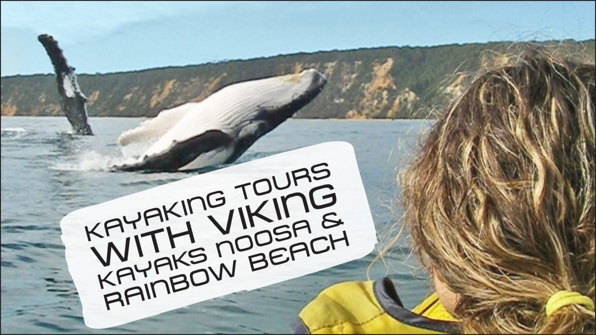 Kayaking tours at Noosa, Rainbow Beach & Double Island Point
