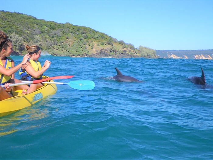 Viking Tango Clear windows See Through Double Kayak