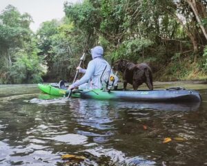 Paddler enjoying a calm river paddle in a Profish 400 kayak with a dog