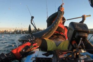 Angler on a Profish Reload kayak fighting a large game fish at sunrise with fishfinder and rods mounted"