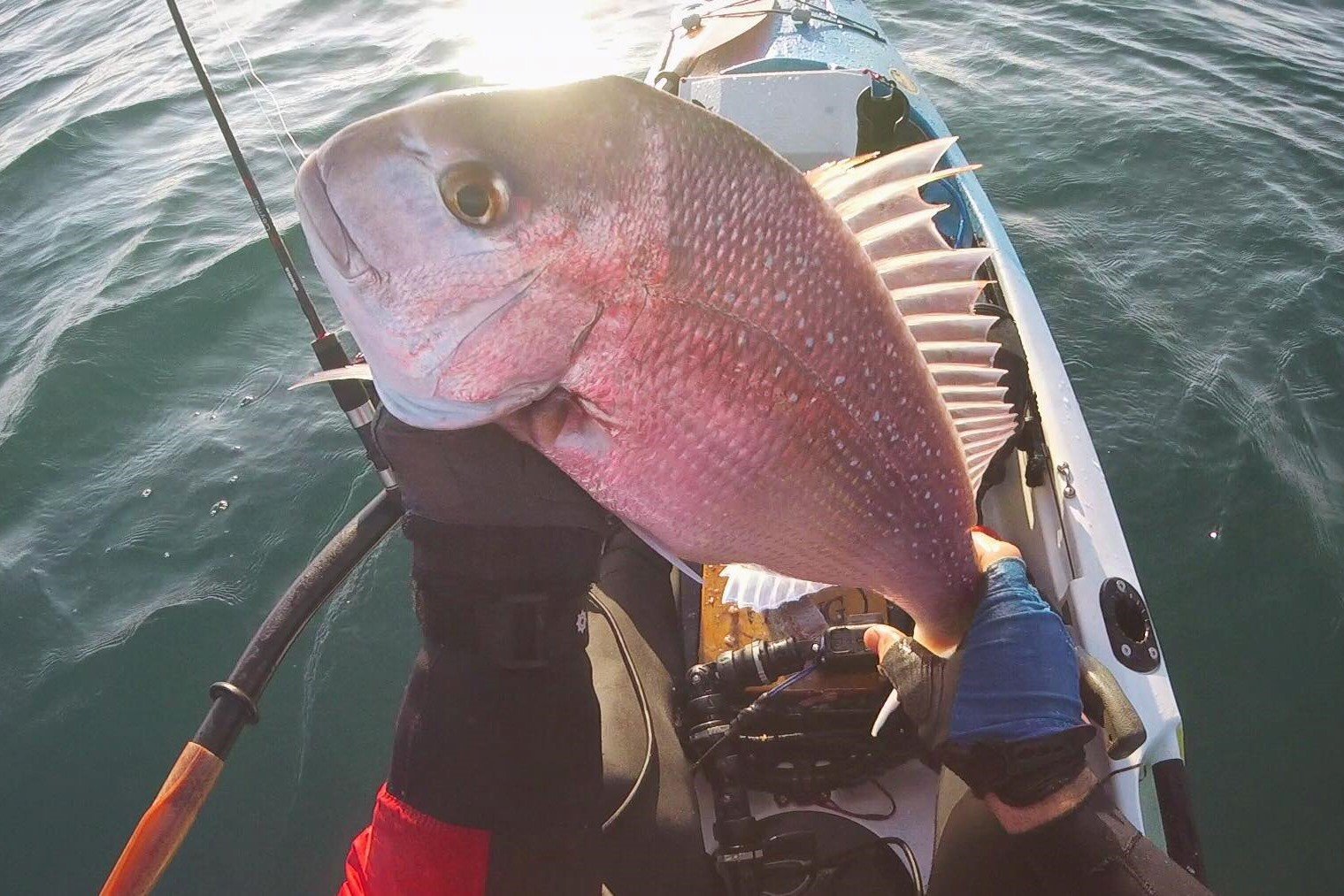 Angler holding a freshly caught snapper on a kayak at sea