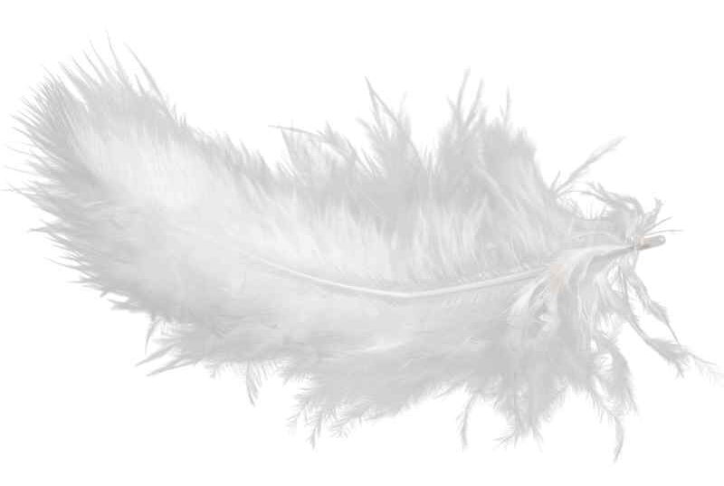 Feather graphic representing the lightweight design of kayaks