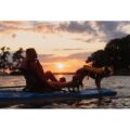 Pelican Getaway 110 HDII pedal kayak sunset recreational paddling